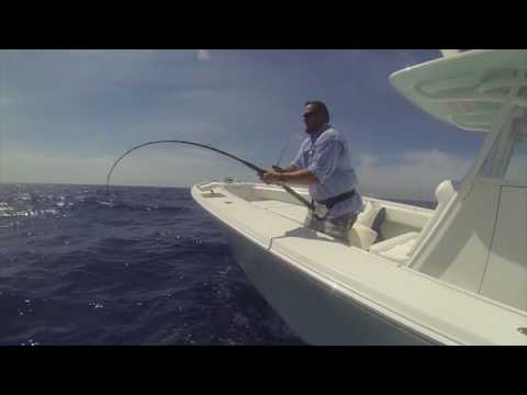 Ear Gear Testimonial - Nick Pavone