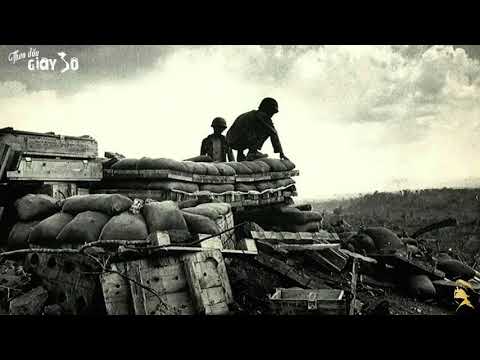 PHỐ ĐÊM | TÂM ANH | PHƯƠNG HỒNG QUÊ - Tình Khúc Thời Chiến Xưa | Bolero Nhạc Vàng