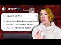 The Black Death What Do We Know We Asked A Medieval Historian