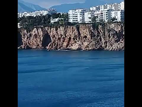 22 февраля 2024 г.