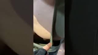 この音源で水着の女ばっかりバズってたから?#水着 #おっぴす #みんなが大好き #jk #どう見ても大胸筋 #おすすめ