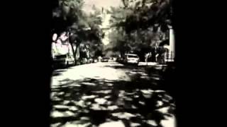 Zigtebra - "The Ride" music video