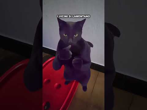 C'è un gatto sotto il letto che è un po' inquietante sia per Leo che per Romualda