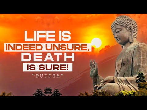 Buddha's Wisdom on Life and Death