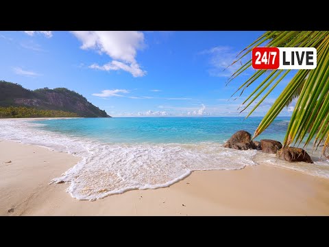 Seychelles Ocean 4K (LIVE 24/7). Wild Beach & Ocean Waves Sounds. Relaxing Ocean