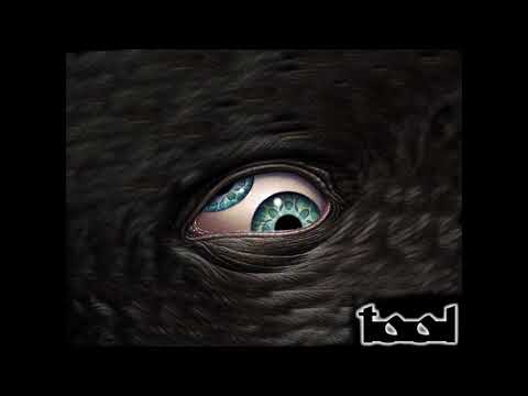 The boyz playing bottom by Tool during sound check