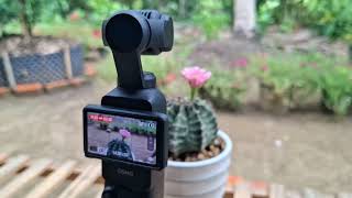 Thành Khôi Vlog | Quay TimeFlas bằng Dji Pocket 3 |