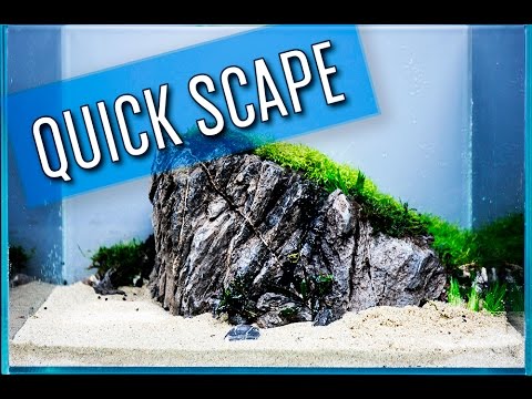 Quick Aquascape - Vik 10 Gallon Aquarium - Complete Build in Description