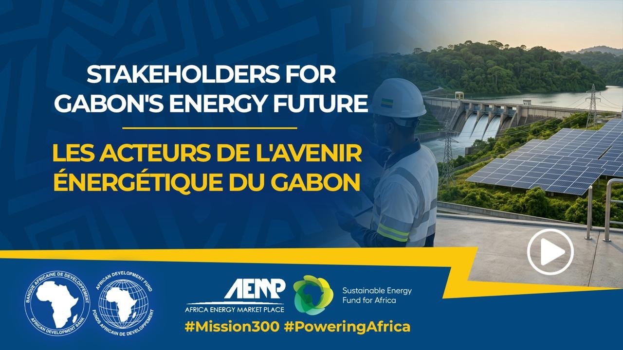 Stakeholders for Gabon's Energy Future