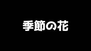 【AIソング】季節の花