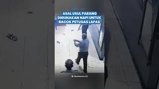 Asal Usul Parang yang Dipakai Napi Untuk Bacok Petugas Lapas Nabire & Buat 9 Tahanan Kabur