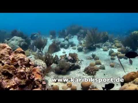 Bonaire Silence, 1000 Steps,Bonaire,Niederländische Antillen