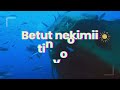 NEWSTAR BRIAN CHOMON CHERONO OFFICIAL LYRIC SONG Very Hot 0104172589