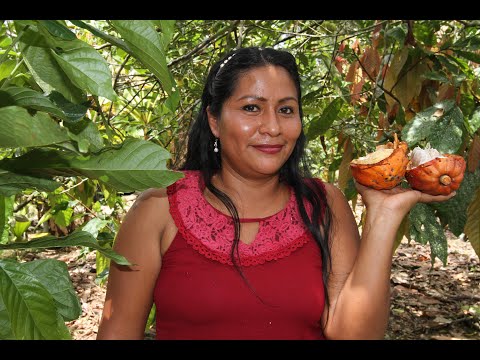 download lagu mp3 mp4 La Ruta Del Cacao, download lagu La Ruta Del Cacao gratis, unduh video klip La Ruta Del Cacao