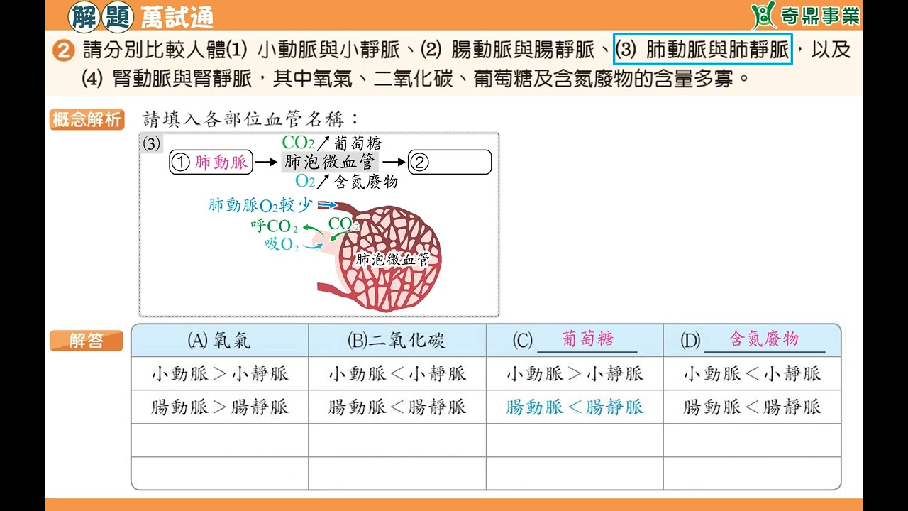 單元3：圖解人體血管中的物質含量