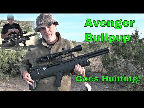 Avenger Bullpup: one of the best airgun for hunting