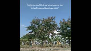 Download lagu Story WA 30detik || Aku Memilih Setia-fatin || (Mr Lidea) mp3 Download lagu Story WA 30detik || Aku Memilih Setia-fatin || (Mr Lidea) mp3