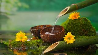 Música para dormir Profundamente, Sana la Mente, Sueño Profundo