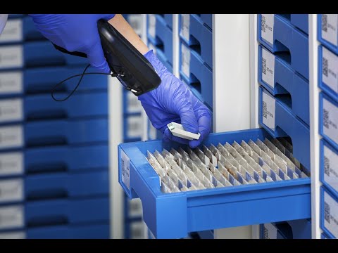 Dreampath. Traceability in pathology with FINA & CRYSTAL