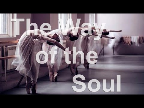 The Law of LOVE the Law of HEART ┃ Tijana Jokić