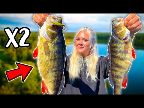 Exploring Clear Water Lake With HARD BAITS For Perch | Team Galant