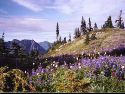 My Choice 572 - André Rieu: La Montanara