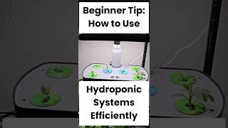 Beginner Tip: How to Use Hydroponic Systems Efficiently #hydroponics #aerogarden #indoorgardening