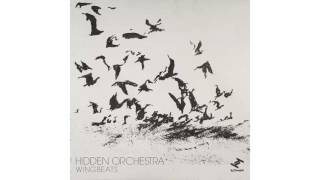 Hidden Orchestra - Wingbeats Source V: Drums