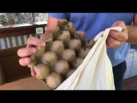 download lagu mp3 mp4 Live Cricket Delivery, download lagu Live Cricket Delivery gratis, unduh video klip Live Cricket Delivery