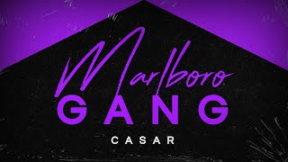 Marlboro Gang Music Video