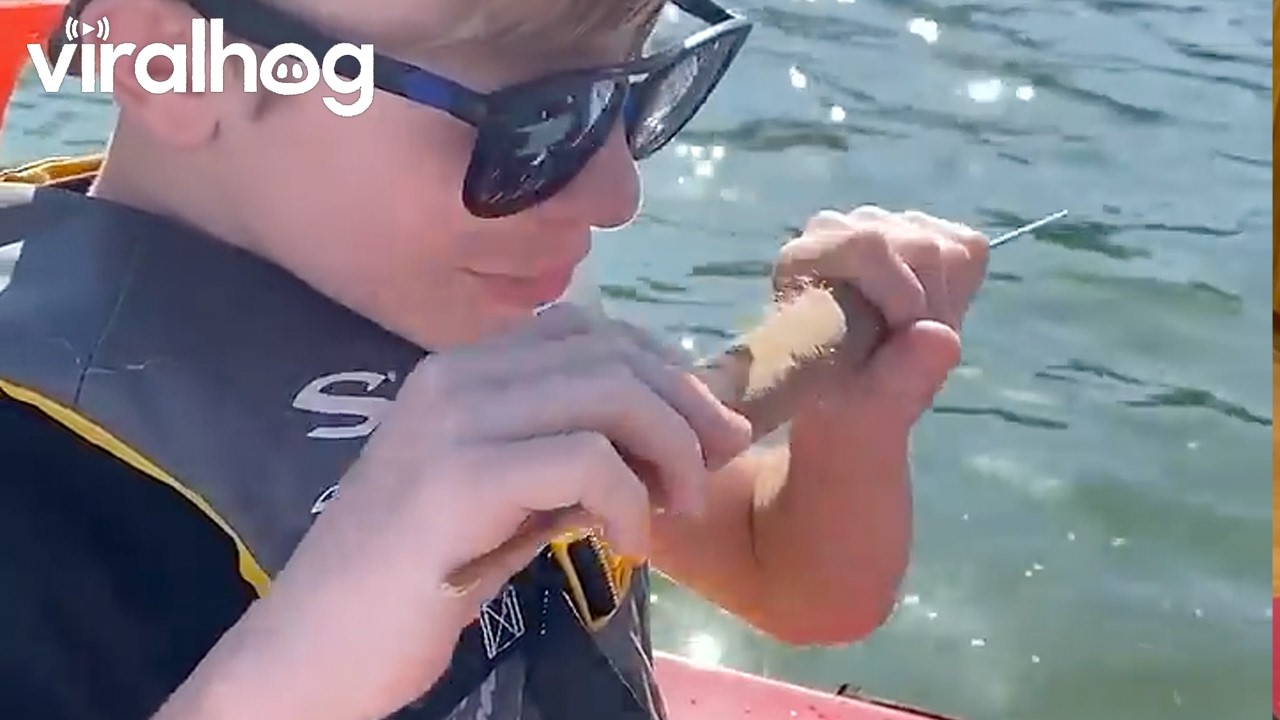 Nephew Tries a "Wild" Corn Dog || ViralHog