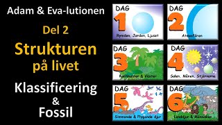 Thumbnail for video: Adam och Eva-lutionen Del 2: Strukturen på livet (Klassificering & Fossil)