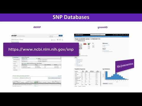 8.4. Human Genomic Variations - Practice Session : Complex Diseases