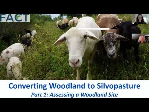 , title : 'Woodland Conversion to Silvopasture Part 1: Assessing a Woods for Silvopasture'