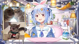 【兎田ぺこら】可愛い☆恐い時はごろにゃんみみちゃんジルくんを呼びながらおトイレするぺこらちゃん 2026/05/08(Cパート)【ホロライブ切り抜き】