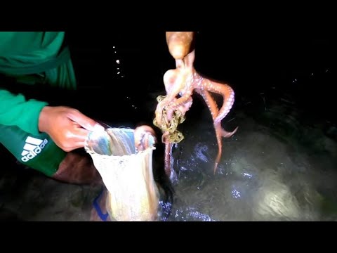 Nakahuli kami ng Pugita sa pangingilaw | Catch & Cook