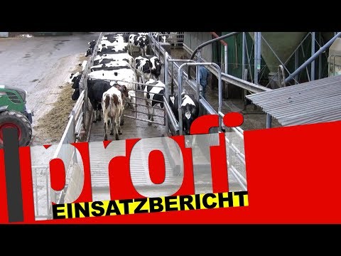 EuroTier Spezial: Einsatzbericht Praktikerlösung zum Klauenbad