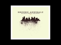 Feels Like Home by Brooke Annibale 