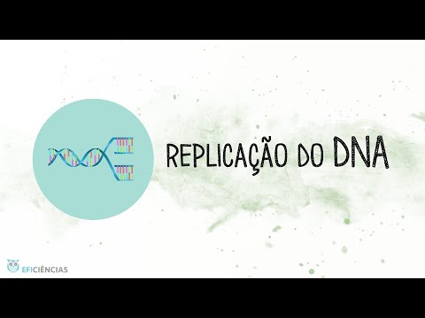 Replicação do DNA - Biologia e Geologia 11ºano