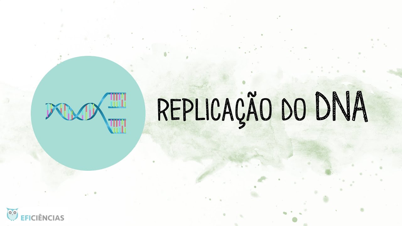 Replicação do DNA - Biologia e Geologia 11ºano