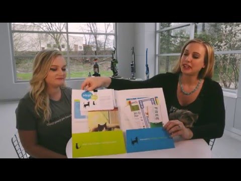 Dog Box - Unboxing
