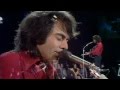 Neil Diamond - Solitary Man - 1971 