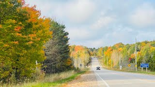 Road trip 🚗 Fall colours 🍂 Autumn foliage 🍁