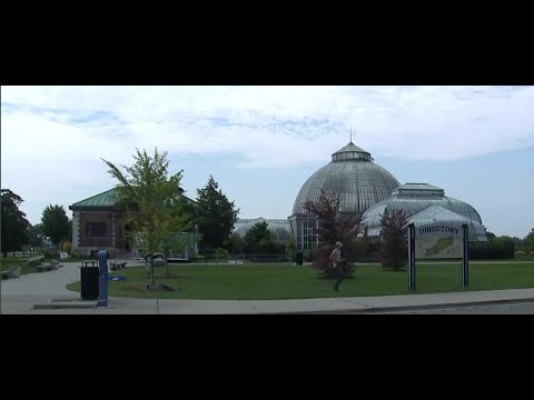 A Detroit Gem: Belle Isle's Anna Whitcomb Conservatory raising funds for upgrades