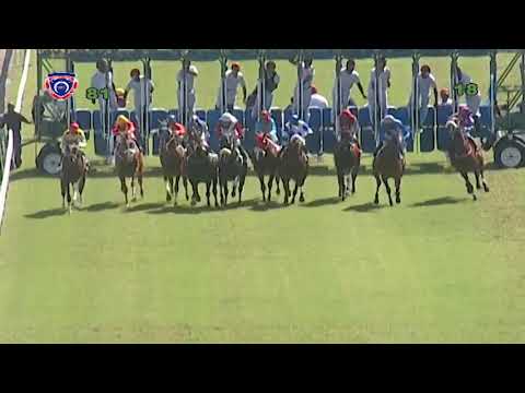 RM8 R1 - Radlet(S.Bussunt)