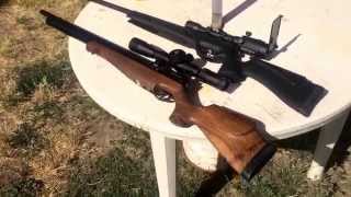 .22 vs .177 (Air Gun Comparison)