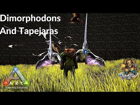 ARK Fun With Dimorphodons And Taming Tapejaras - The Complete Series Ep39