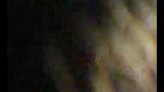 Young Knives - She&#39;s Attracted To (live)