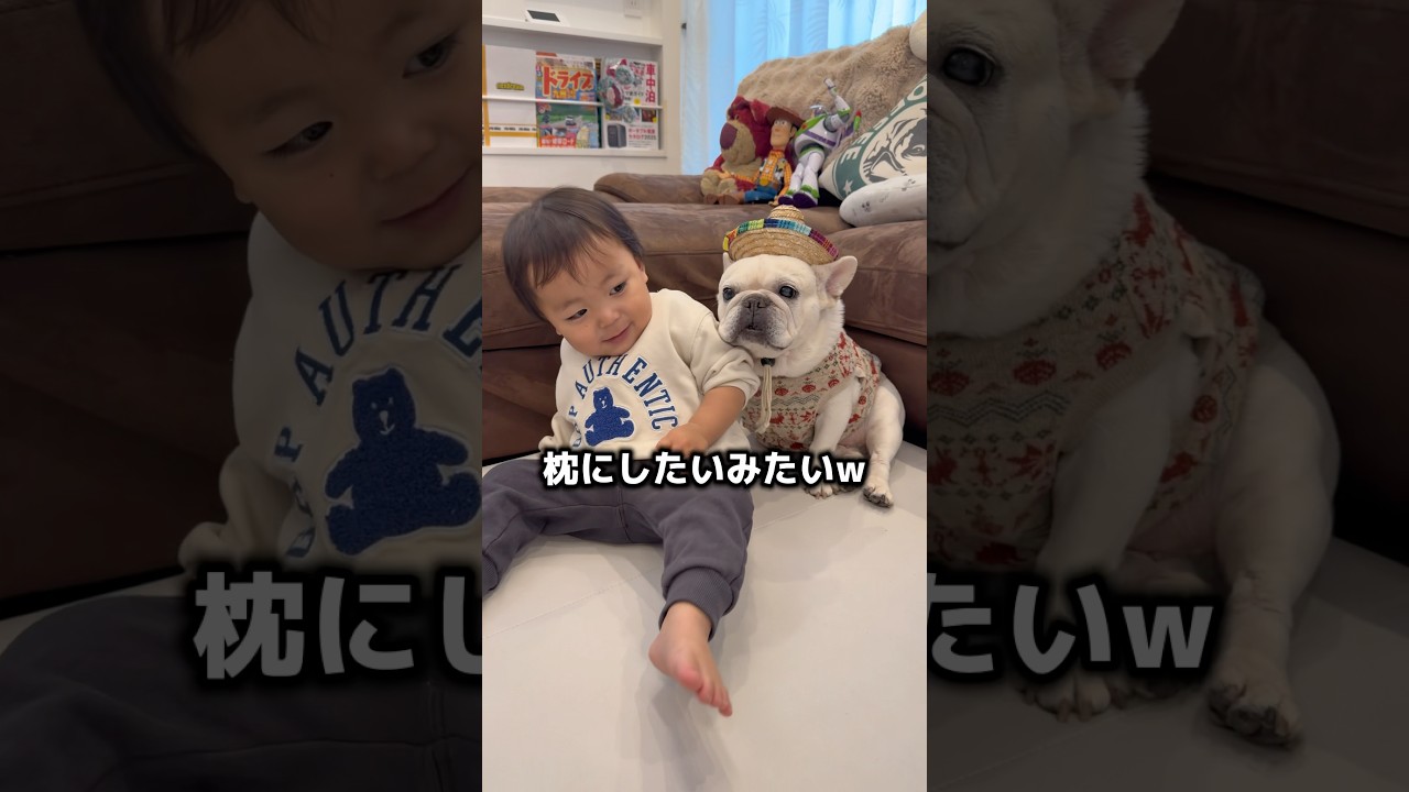 1歳児が愛犬を枕にしようとしたらこうなった…w #赤ちゃん #犬 #日常