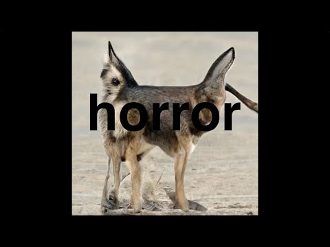 【StyleGAN2】Demon summoning program/Google Colaboratory, python tutorial